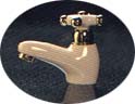 TAP